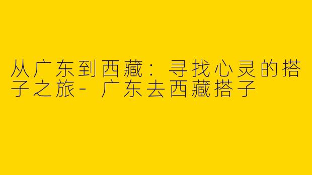 从广东到西藏:寻找心灵的搭子之旅