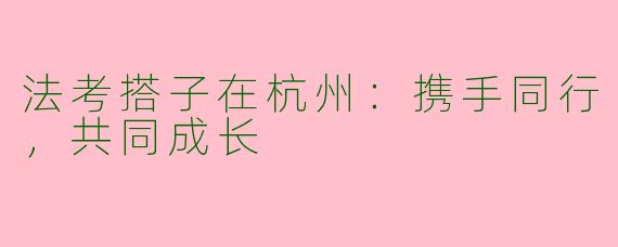 法考搭子在杭州：携手同行，共同成长