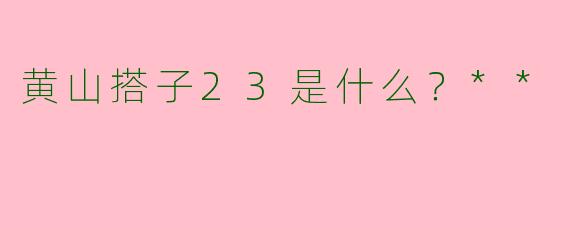 黄山搭子23是什么？**