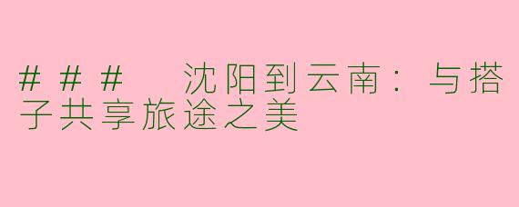 ### 沈阳到云南：与搭子共享旅途之美