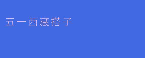 五一西藏搭子