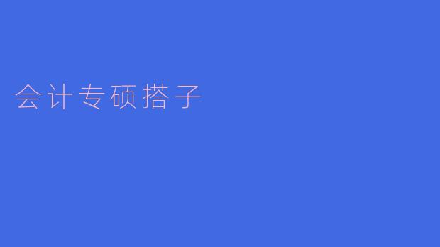 会计专硕搭子