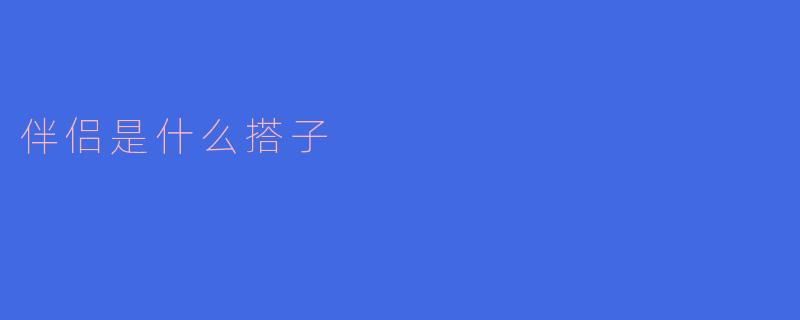伴侣是什么搭子？