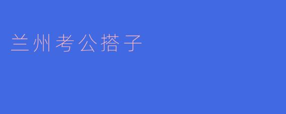 兰州考公搭子的故事