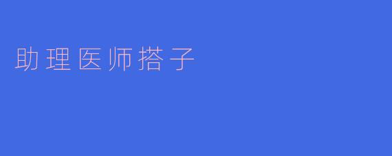 助理医师搭子在工作中主要负责哪些任务?**