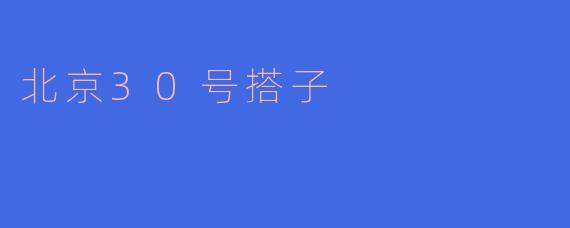 北京30号搭子是什么?****