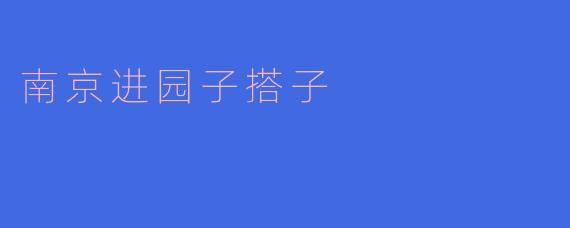 南京的进园子搭子是什么？