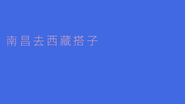 南昌去西藏搭子