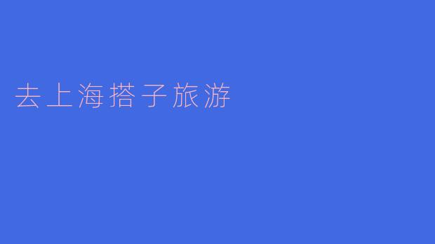 你觉得去上海旅游找搭子有什么好处?****