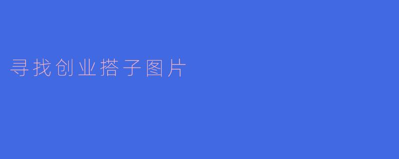 寻找创业搭子的旅程：携手共创辉煌