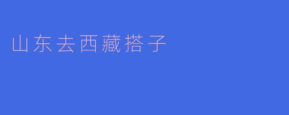 山东去西藏搭子