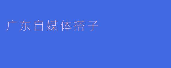 广东自媒体搭子