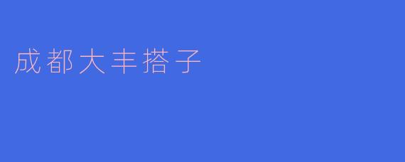 ### 成都大丰搭子——城市生活的新方式