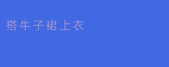 搭牛子裙上衣
