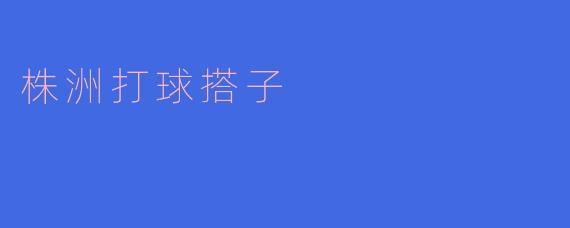 株洲打球搭子