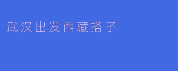 武汉出发西藏搭子
