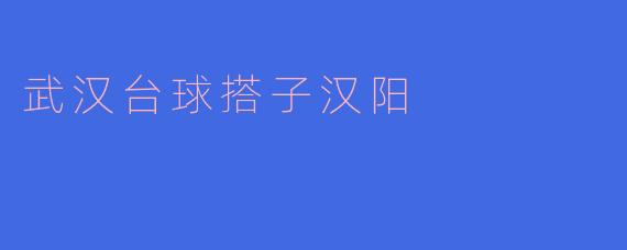 武汉台球搭子汉阳