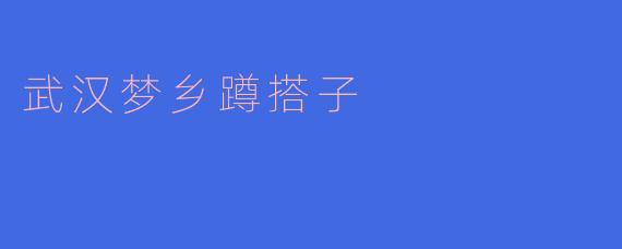 武汉梦乡蹲搭子是什么?