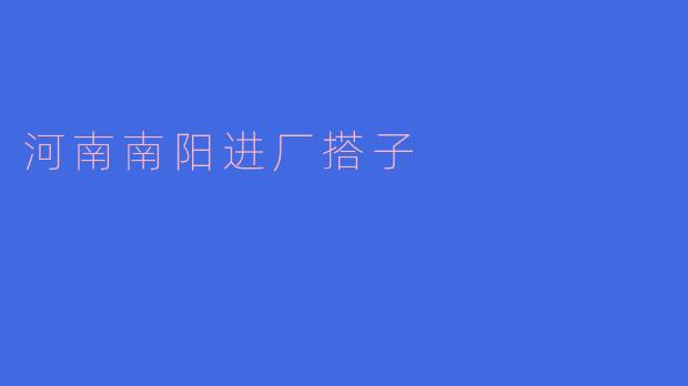 河南南阳进厂搭子:携手共进,分享智慧与快乐