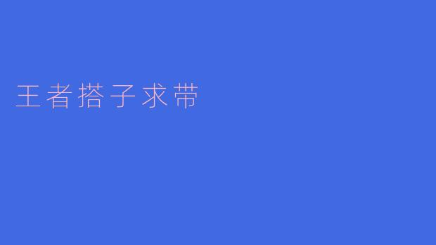 ### 与“王者搭子”携手共攀荣耀之巅