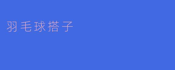 羽毛球搭子：共享运动乐趣的最佳伙伴
