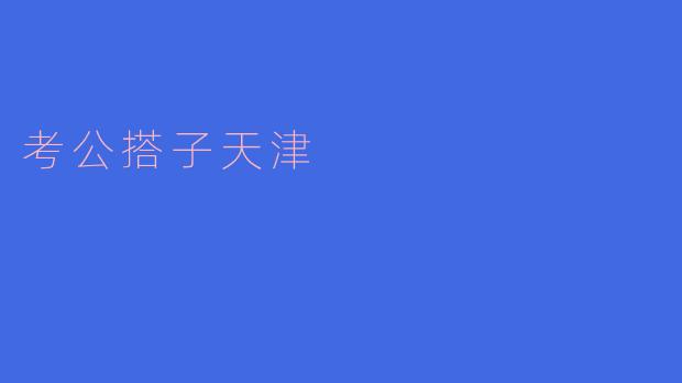 考公搭子天津