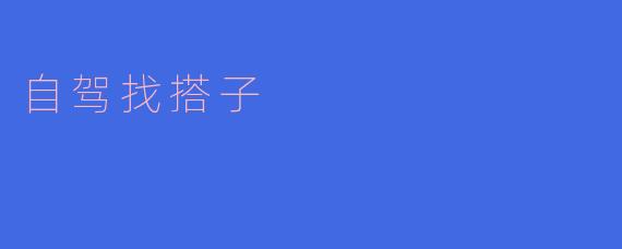 ** 自驾游的时候，如何找到合适的搭子一起出行？**