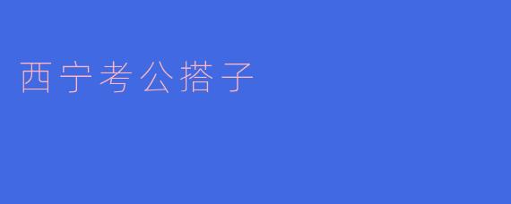 西宁考公搭子怎么找?****