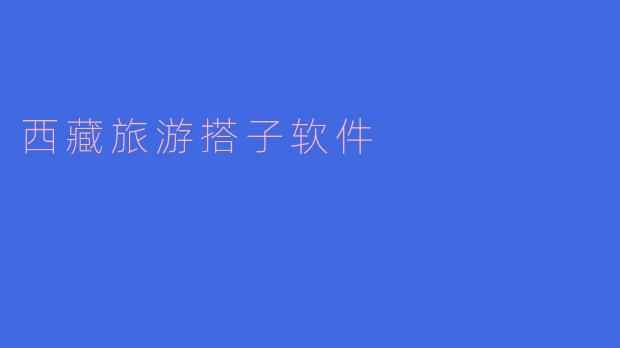 西藏旅游搭子软件