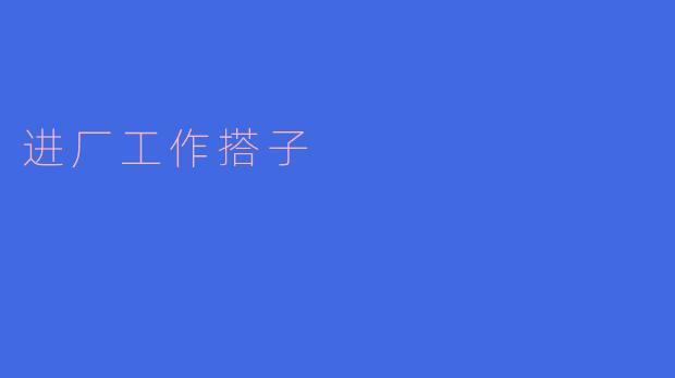 进厂工作搭子