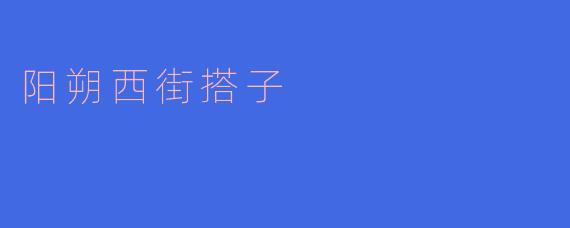 阳朔西街搭子