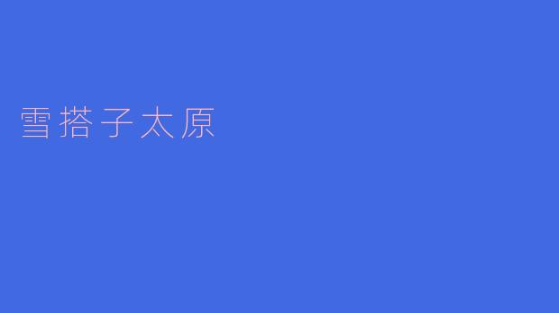 雪搭子太原