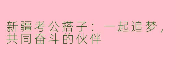 新疆考公搭子：一起追梦，共同奋斗的伙伴