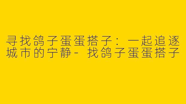 寻找鸽子蛋蛋搭子:一起追逐城市的宁静