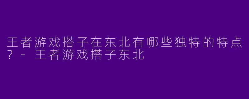 王者游戏搭子在东北有哪些独特的特点?