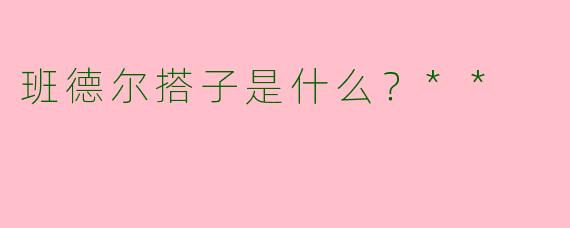 班德尔搭子是什么？**