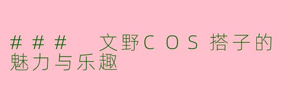 ### 文野COS搭子的魅力与乐趣