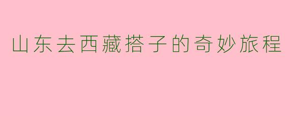 山东去西藏搭子的奇妙旅程