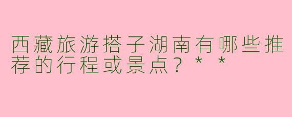 西藏旅游搭子湖南有哪些推荐的行程或景点?**