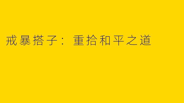 戒暴搭子:重拾和平之道