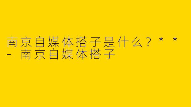 南京自媒体搭子是什么？**