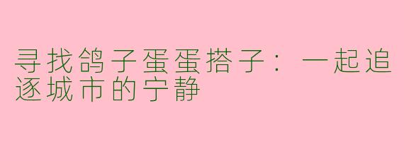 寻找鸽子蛋蛋搭子：一起追逐城市的宁静