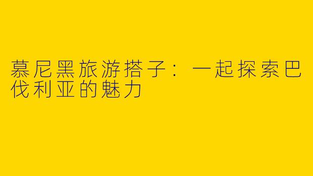 慕尼黑旅游搭子：一起探索巴伐利亚的魅力