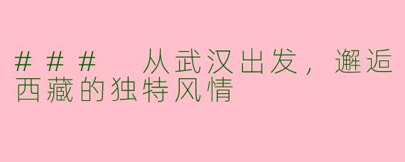 ### 从武汉出发，邂逅西藏的独特风情
