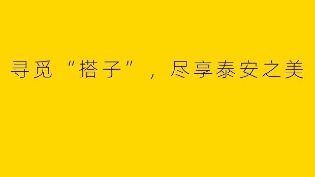 寻觅“搭子”，尽享泰安之美