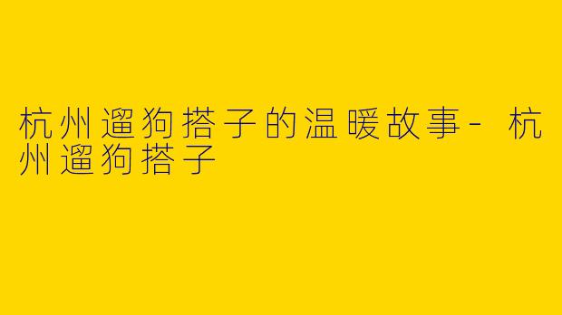 杭州遛狗搭子的温暖故事