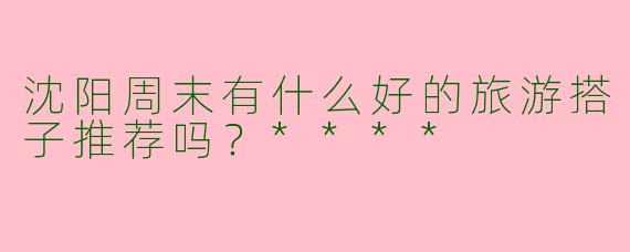 沈阳周末有什么好的旅游搭子推荐吗？****