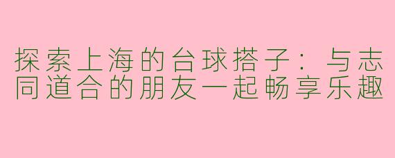探索上海的台球搭子:与志同道合的朋友一起畅享乐趣