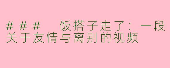 ### 饭搭子走了：一段关于友情与离别的视频