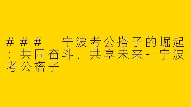 ### 宁波考公搭子的崛起：共同奋斗，共享未来-宁波考公搭子